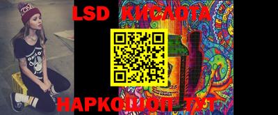 дмт Камышлов