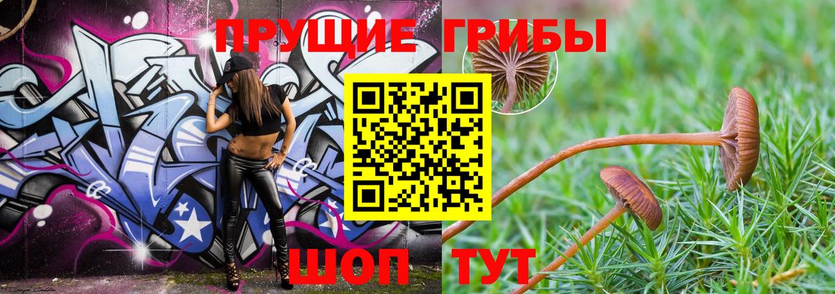 Галлюциногенные грибы Psilocybine cubensis  Вход с VPN  Пермь  Псилоцибиновые грибы MAGIC MUSHROOMS 